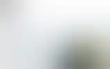 Blurred archive preview