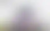 Blurred archive preview
