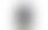Blurred archive preview