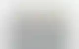 Blurred archive preview