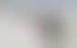 Blurred archive preview