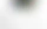 Blurred archive preview