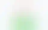 Blurred archive preview