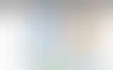 Blurred archive preview