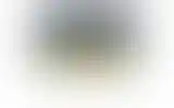 Blurred archive preview