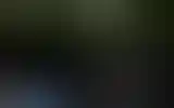Blurred archive preview