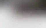 Blurred archive preview