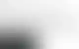 Blurred archive preview