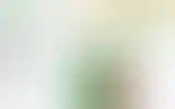 Blurred archive preview