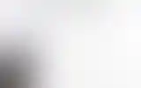Blurred archive preview