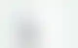 Blurred archive preview