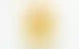 Blurred archive preview