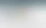 Blurred archive preview