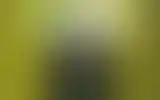 Blurred archive preview