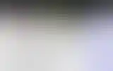Blurred archive preview