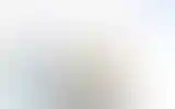Blurred archive preview