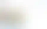 Blurred archive preview