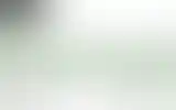 Blurred archive preview