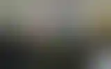 Blurred archive preview