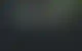 Blurred archive preview