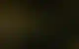Blurred archive preview