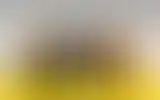 Blurred archive preview
