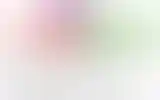 Blurred archive preview