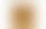 Blurred archive preview