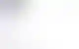 Blurred archive preview