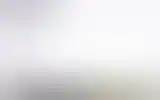 Blurred archive preview