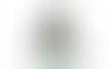 Blurred archive preview