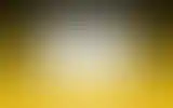 Blurred archive preview