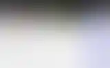 Blurred archive preview