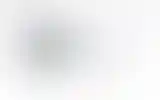 Blurred archive preview
