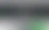 Blurred archive preview