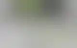 Blurred archive preview