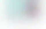 Blurred archive preview