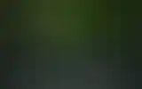 Blurred archive preview