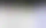 Blurred archive preview