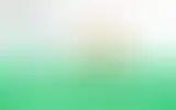 Blurred archive preview