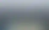 Blurred archive preview