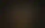 Blurred archive preview