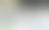 Blurred archive preview