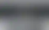 Blurred archive preview