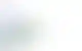 Blurred archive preview