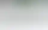 Blurred archive preview