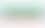 Blurred archive preview
