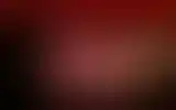 Blurred archive preview