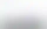 Blurred archive preview
