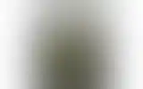 Blurred archive preview